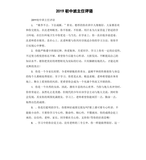 2019初中班主任评语