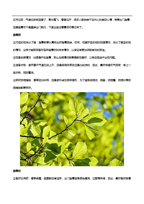 春季踏青指南快收好!关节不好的记得补充氨糖