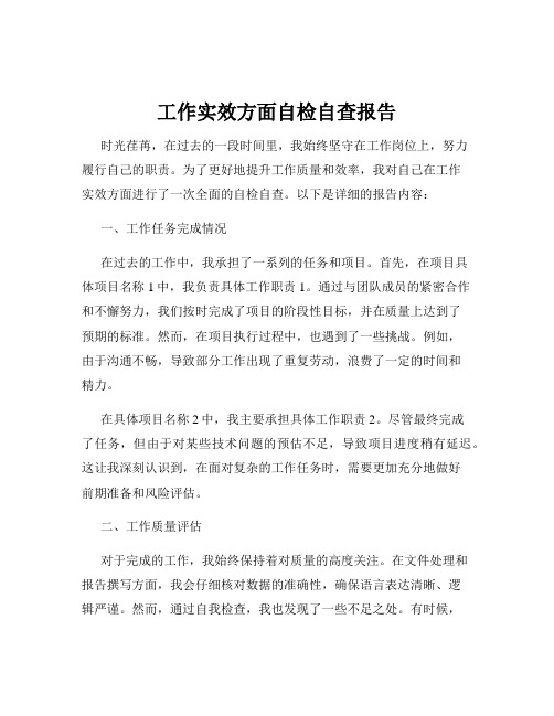 工作实效方面自检自查报告