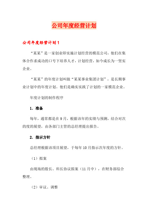 公司年度经营计划