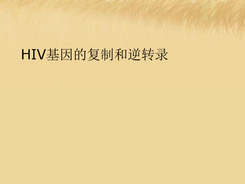 HIV基因的复制和逆转录