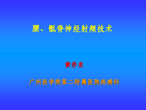 腰骶神经根射频技术ppt课件