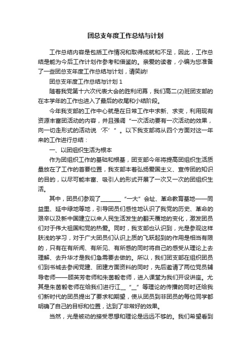 团总支年度工作总结与计划