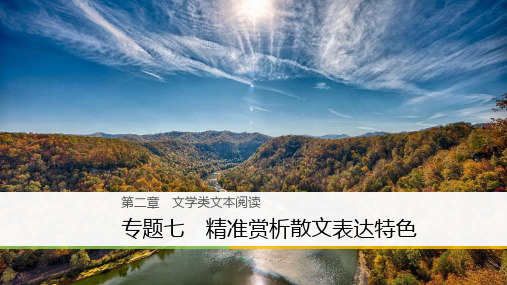 2020年高考语文江苏专版二轮复习课件:第二章 文学类文本阅读 专题七 -