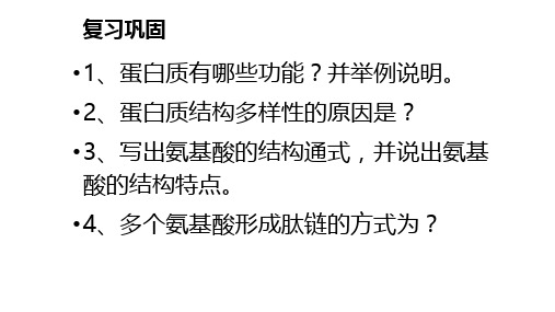 核酸是遗传信息的携带者课件-高一生物人教版必修1