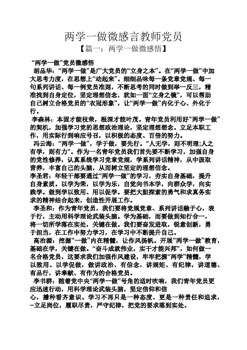 两学一做微感言教师党员