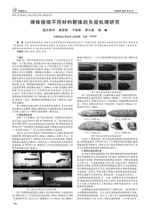 弹体侵彻不同材料靶体的失效机理研究