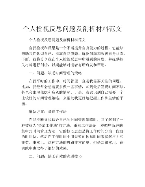 个人检视反思问题及剖析材料范文