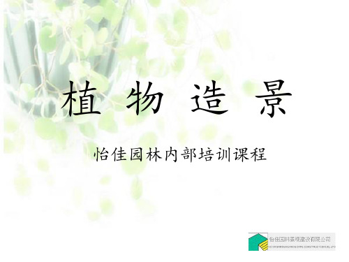 园林内部植物造景内部培训讲座PPT