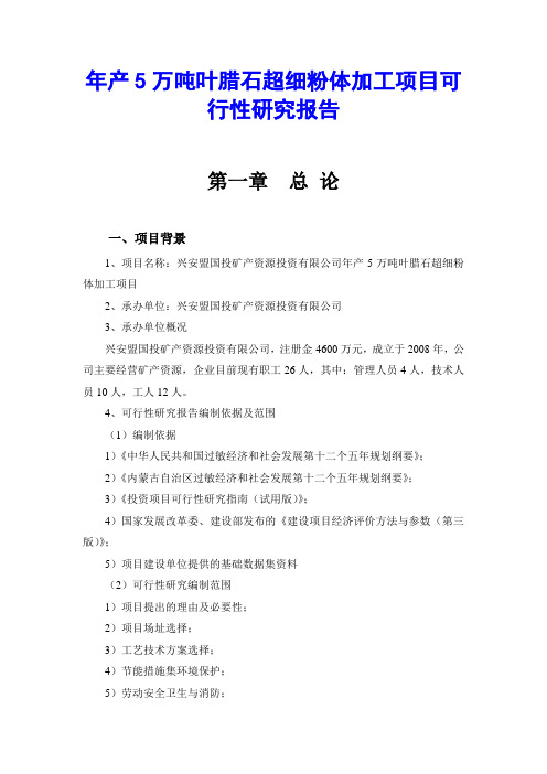 年产5万吨叶腊石超细粉体加工项目可行性研究报告