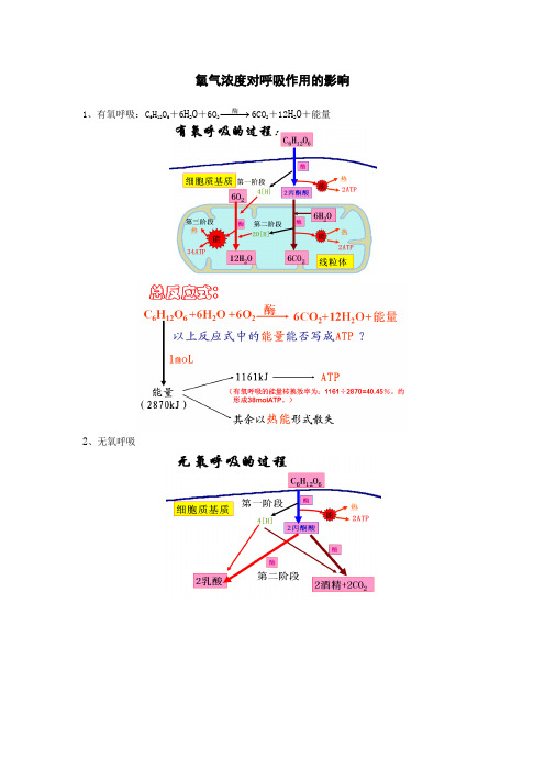 氧气浓度对呼吸作用的影响(有氧呼吸与无氧呼吸)-为什么氧气浓度为5%时最适宜种子储藏