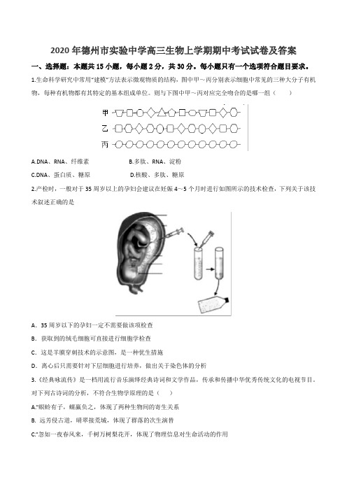 2020年德州市实验中学高三生物上学期期中考试试卷及答案