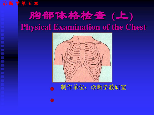 胸部检查临专-10.11