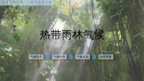 热带雨林气候详解