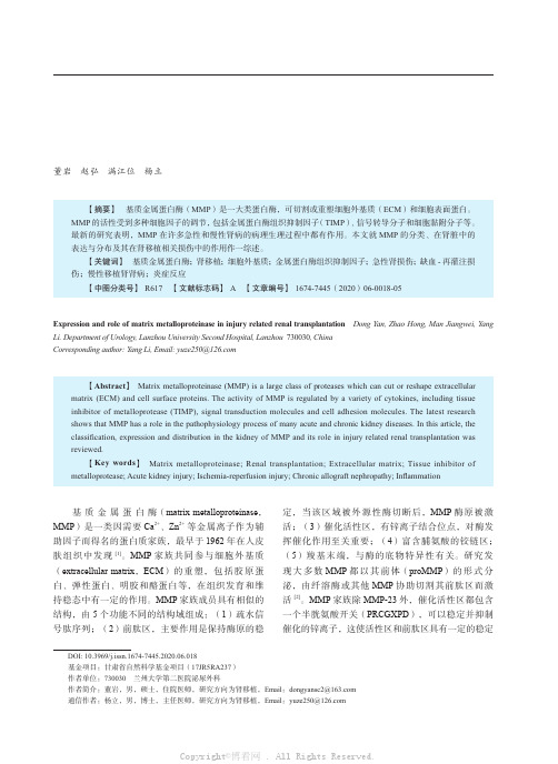 基质金属蛋白酶在肾移植相关损伤中的表达及作用