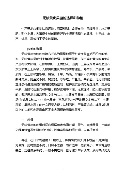 无核黄皮果园的选择和种植