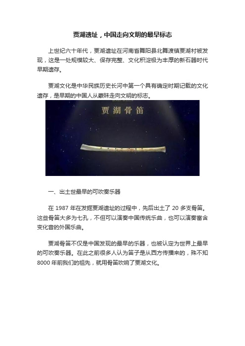 贾湖遗址，中国走向文明的最早标志