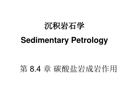 第8.4章 碳酸盐成岩作用