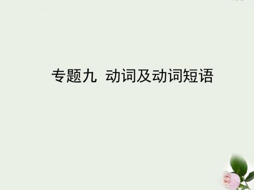 中考英语总复习专题九动词及动词短语课件