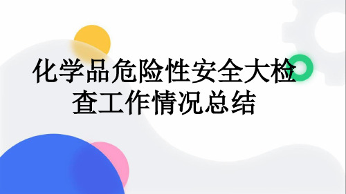 化学品危险性安全大检查工作情况总结