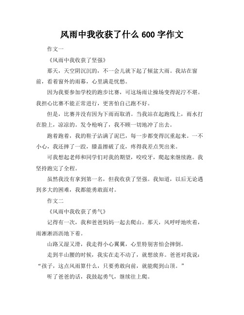 风雨中我收获了什么600字作文