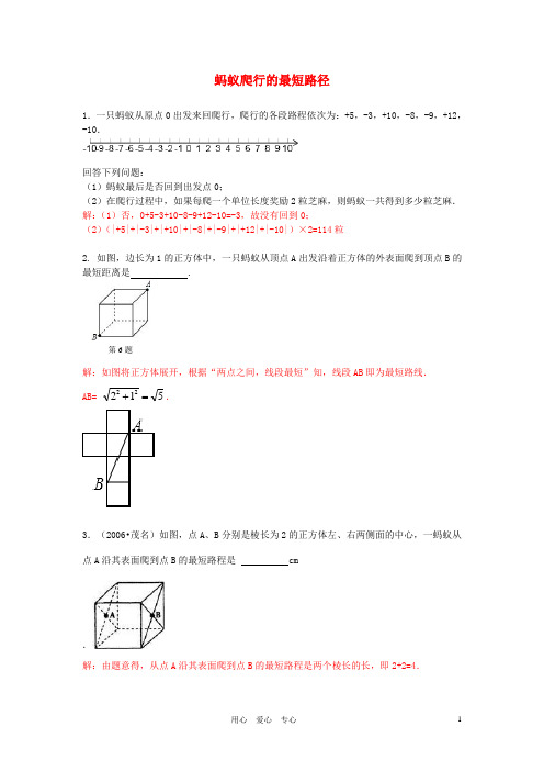 中考数学 蚂蚁爬行的最短路径试题(带解析)