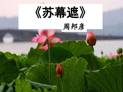 《苏幕遮》(周邦彦)公开课一等奖