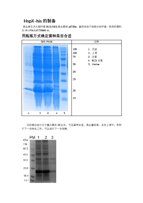 his标签蛋白纯化思路总结