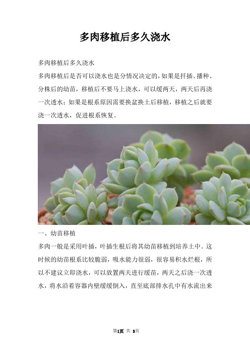 多肉移植后多久浇水