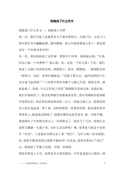 我做成了什么作文