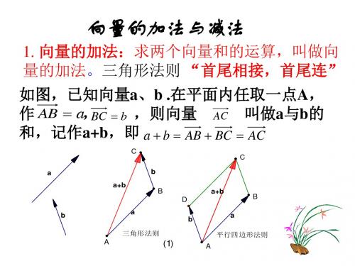 高一数学向量加法(新编201908)
