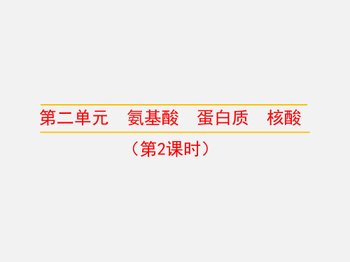 苏教版高中化学选修5《蛋白质》名师课件