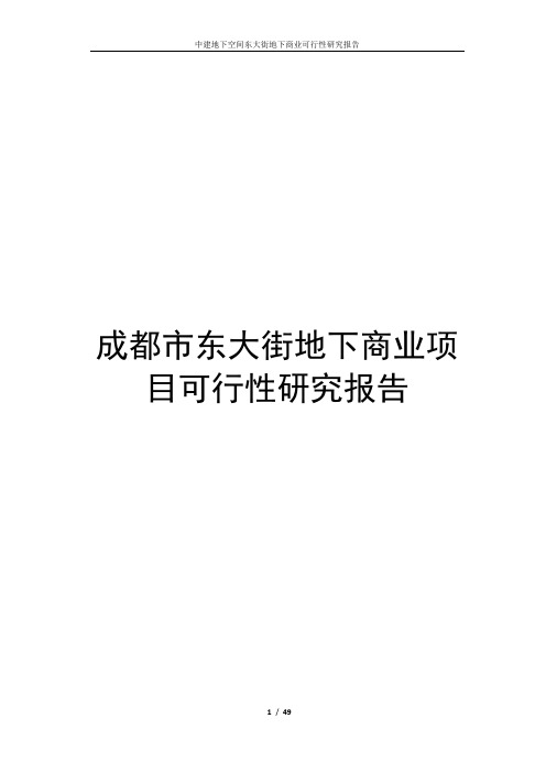 成都市东大街地下商业项目可行性研究报告