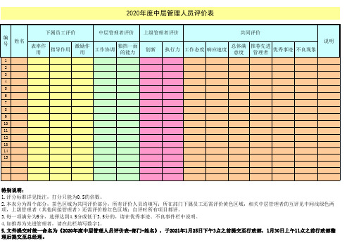 中层管理人员评价表