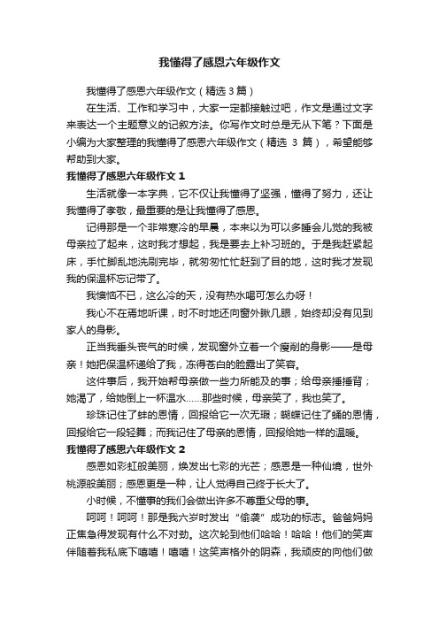 我懂得了感恩六年级作文（精选3篇）