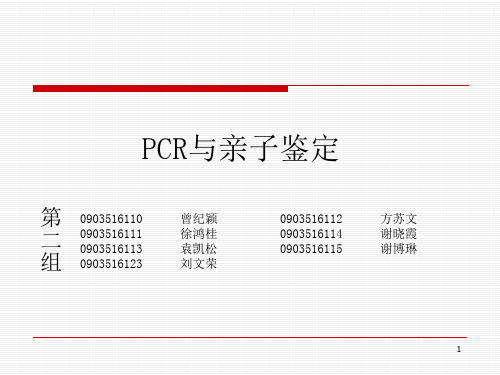 第2组(PCR与亲子鉴定)