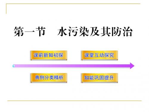 湘教版高中地理 4.1 水污染及其防治 课件 (3)