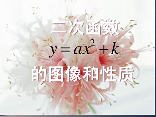 26.1.3__二次函数y=ax2+k图象