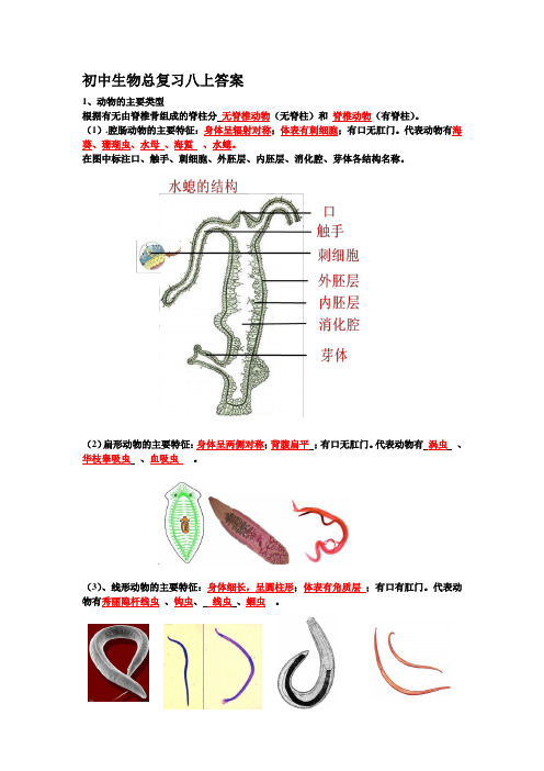 初中生物总复习八上答案