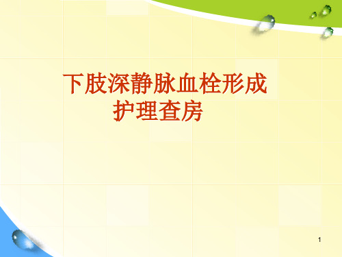 深静脉血栓护理查房ppt课件