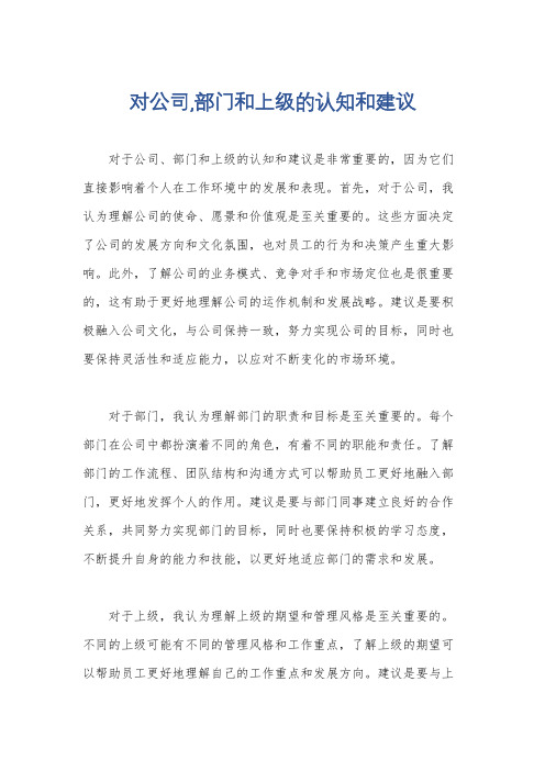 对公司,部门和上级的认知和建议