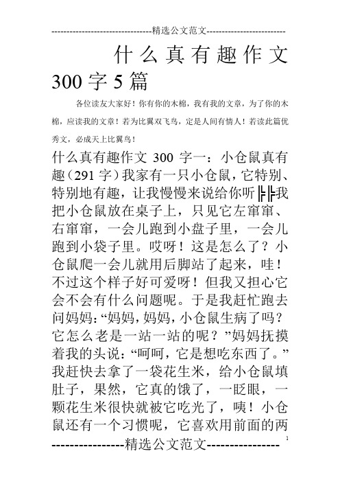 什么真有趣作文300字5篇