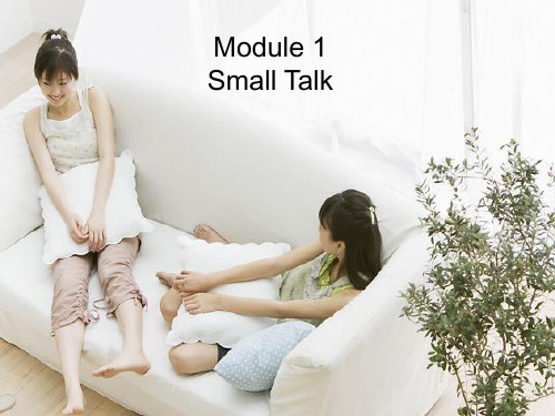 高中英语Module 1 Small Talk课件