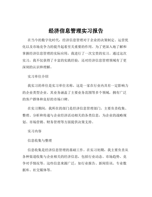 经济信息管理实习报告