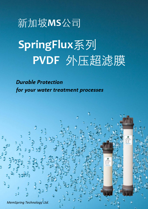 SpringFlux%20Brochure(膜源)