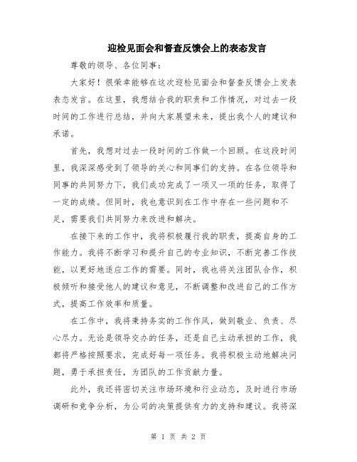 迎检见面会和督查反馈会上的表态发言