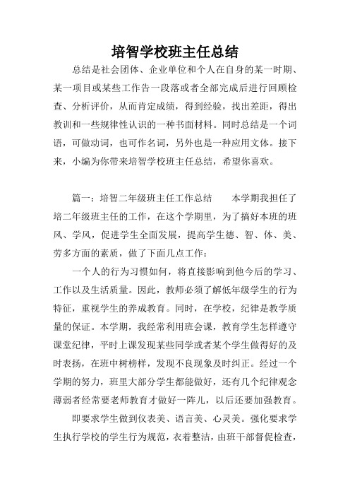 培智学校班主任总结