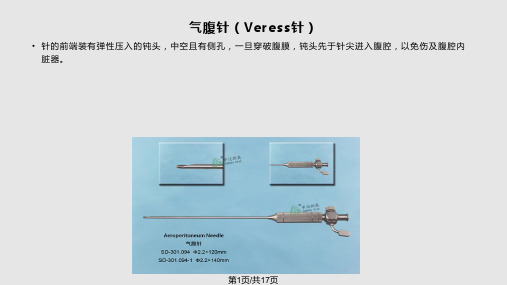 腹腔镜手术人工气腹的建立PPT课件