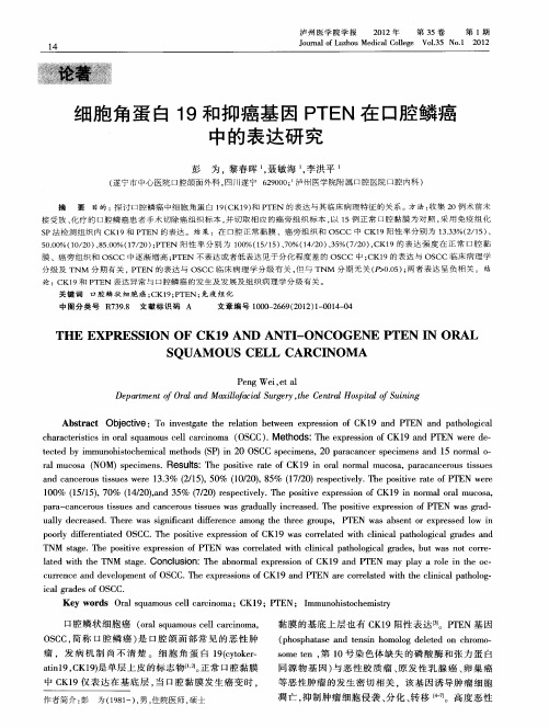 细胞角蛋白19和抑癌基因PTEN在口腔鳞癌中的表达研究