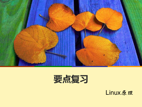 linux【复习】